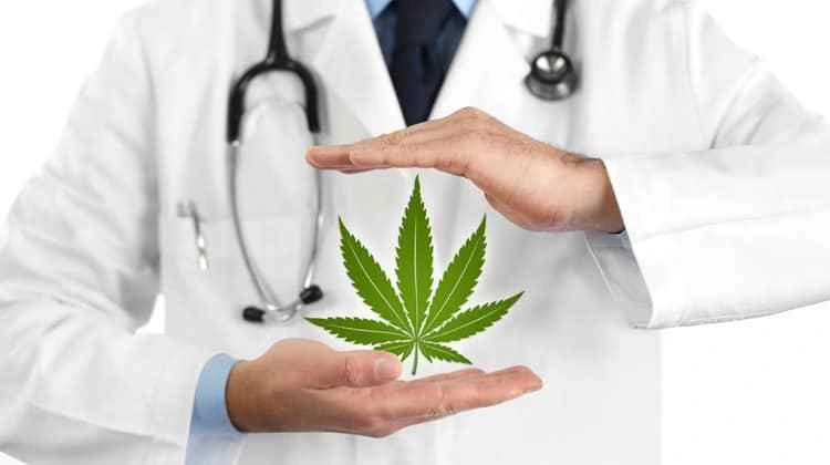 Best Medical Marijuana Doctors
