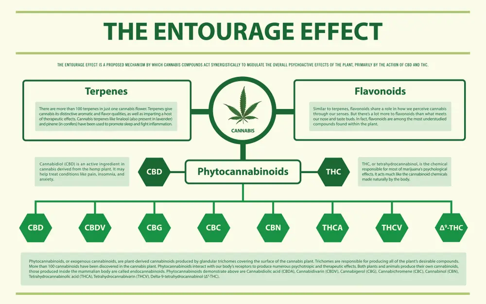 The Encourage Effect