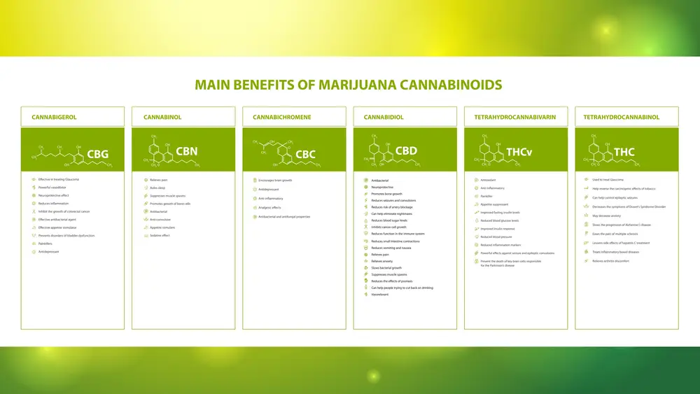 main benifits of marijuana cannabionds