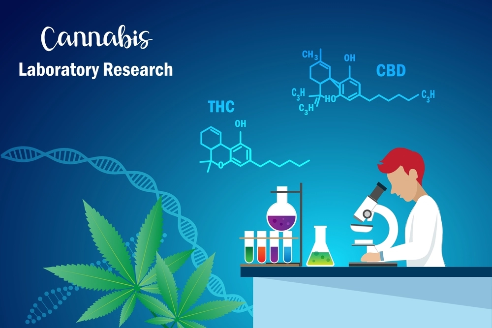 Research on Cannabis and Fibromyalgia