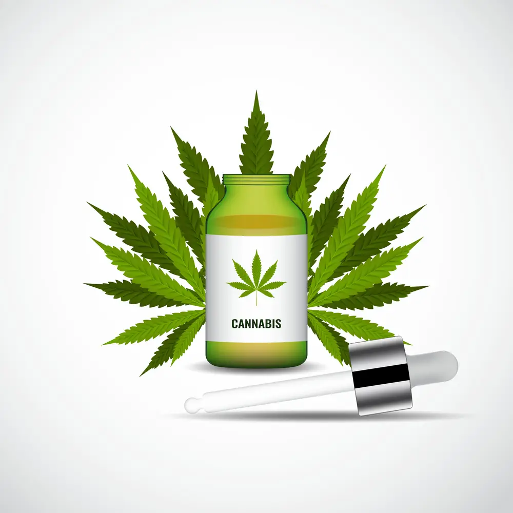 Marijuana or Cannabis oil